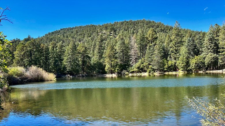 Blue waters at Cimarron Canyon State Park, New Mexico