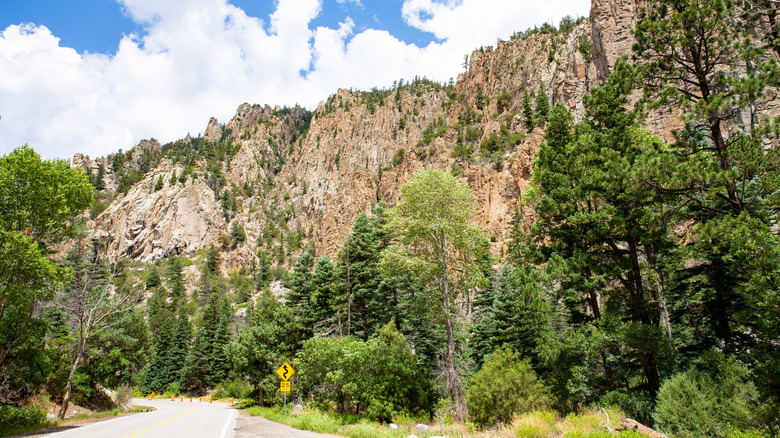 Scenic road in Cimarron Canyon State Park, New Mexico, USA