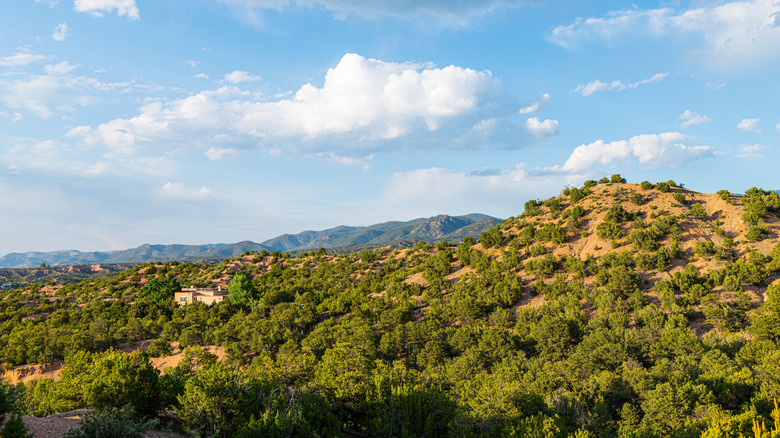 Trees cover desert hills and a house in Tesuque, New Mexico