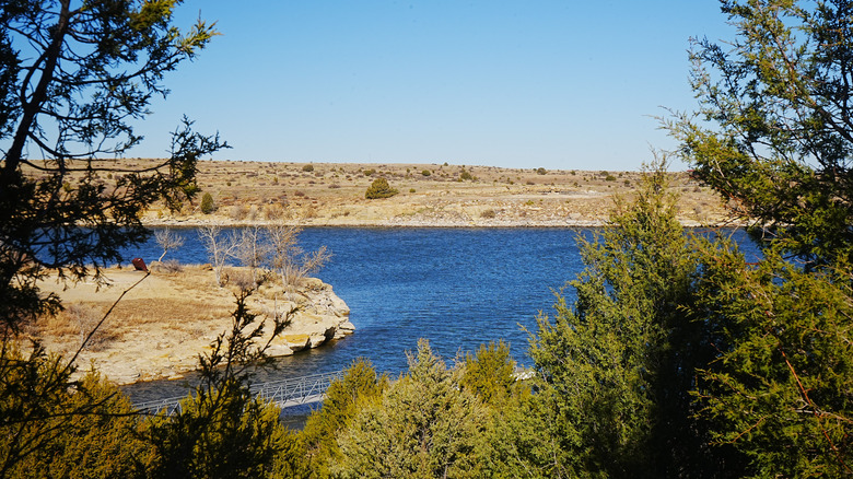 A thicket of evergreen trees overlooks the calm water at Clayton Lake State Park, in New Mexico.