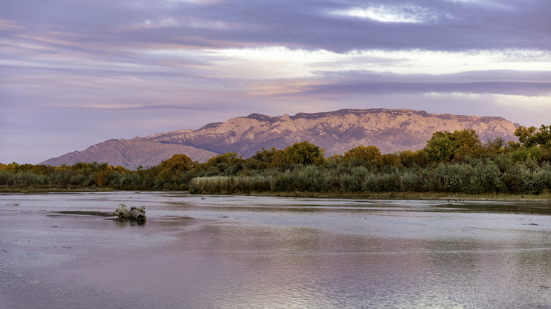 Rio Grande, New Mexico