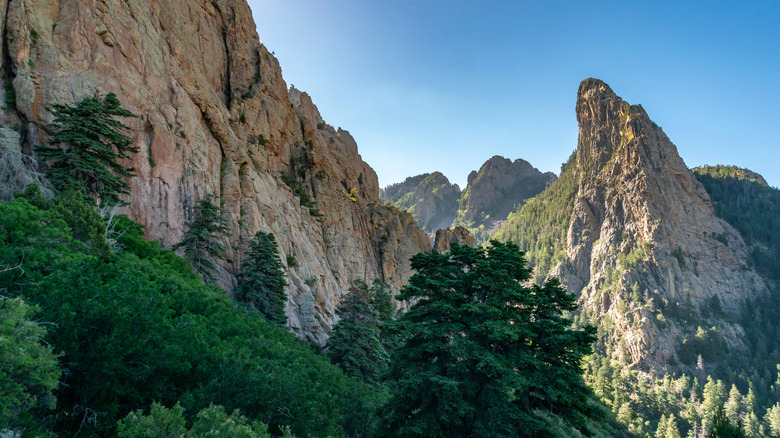 La Luz Trail in Albuquerque, New Mexico, with sunlit rock formations and trees