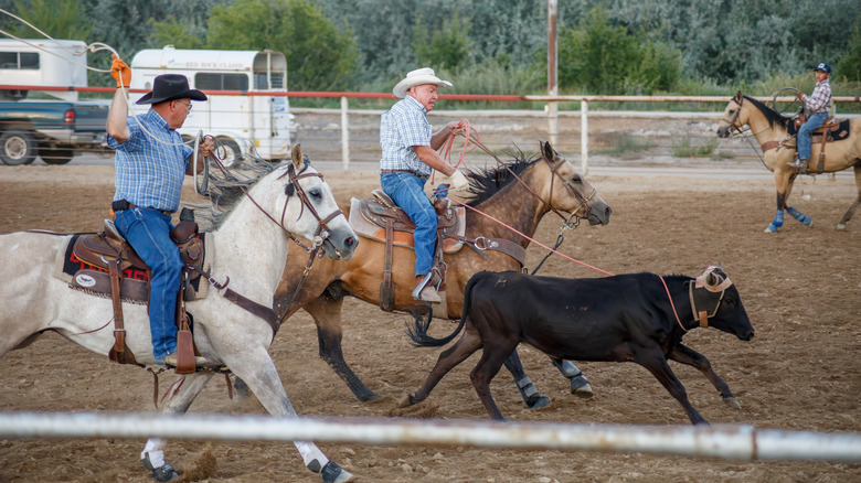 Cowboy show in New Mexico