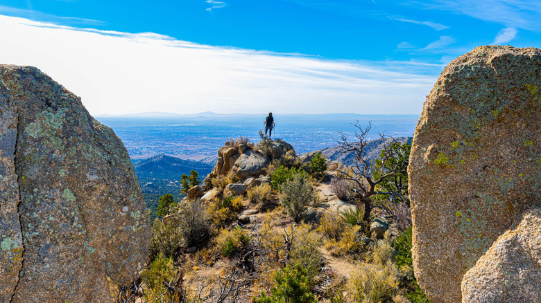 The Sandia Wilderness in the Cibola National Forest