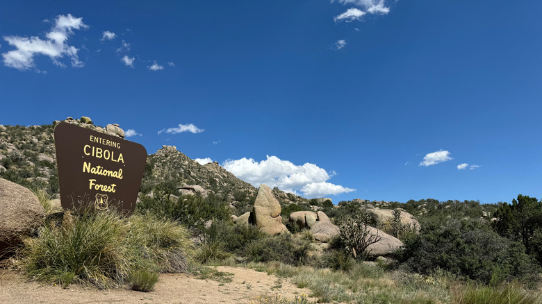 Cibola National Forest sign near Albuquerque