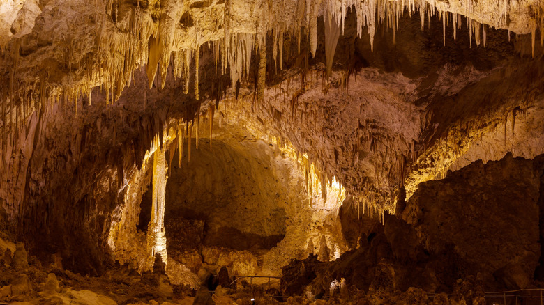 The Big Room in Carlsbad Caverns National Park in New Mexico