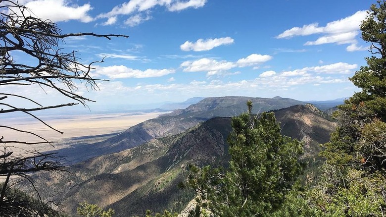 Overlooking the dry valley floor from a ridge on the Manzano Mountains, New Mexico.