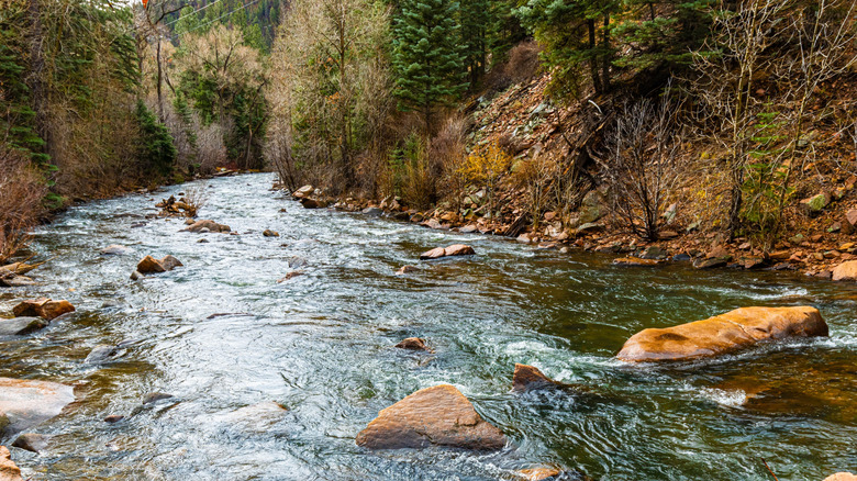 A river rushes through Pecos Canyon State Park, NM