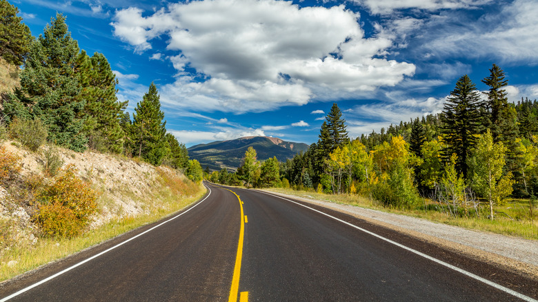 A road passes through a forest towards some mountains on the Enchanted Circle Scenic Byway
