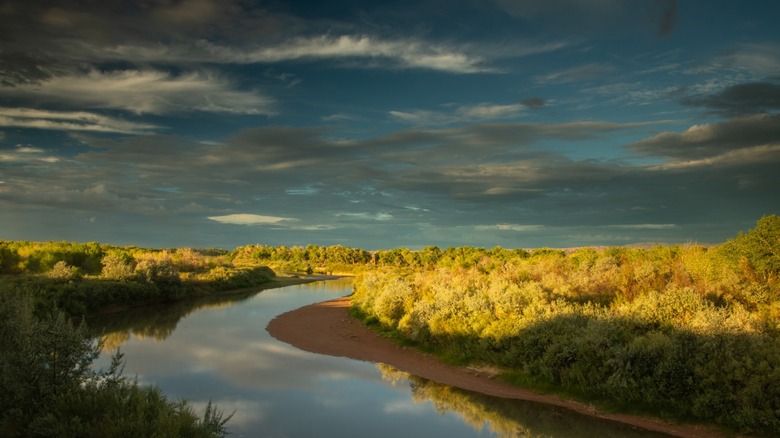 The Rio Grande snakes through the bosque in New Mexico
