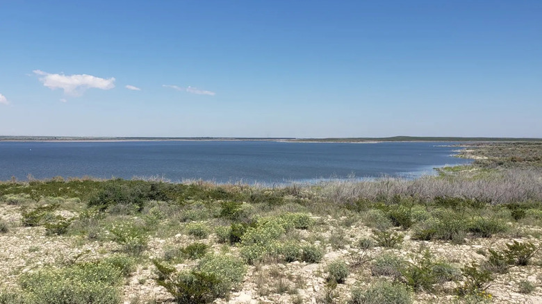 The lake at Brantley Lake State Park surrounded by green and purple desert brush