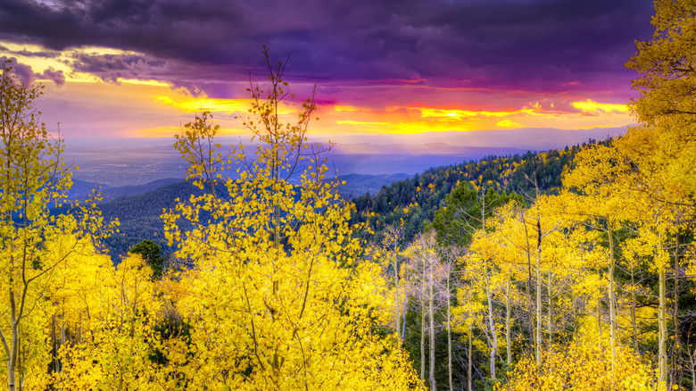 New Mexico fall mountain sunset featuring golden aspens, Santa Fe ski basin and rays of sunlight