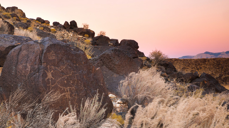 Large, dark boulders with ancient inscriptions on them and clusters of dry shrubs, Petroglyph National Monument, Albuquerque
