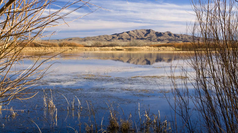 Lake and mountains in Caballo Lake State Park, New Mexico