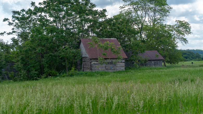Historic buildings at the New Philadelphia National Historic Site