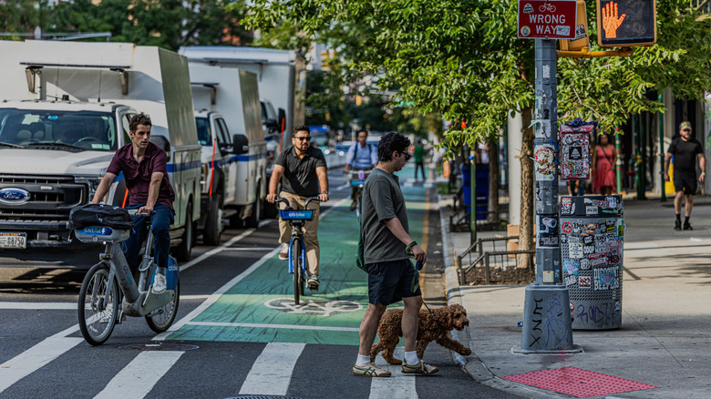 Cyclists on a busy New York City Road