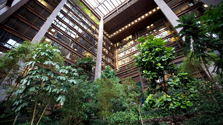 Trees growing in indoor garden