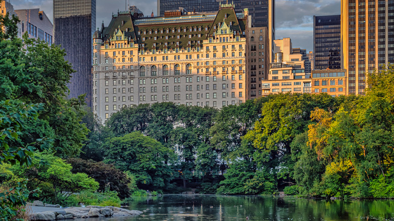 The Plaza Hotel from Central Park at sunset