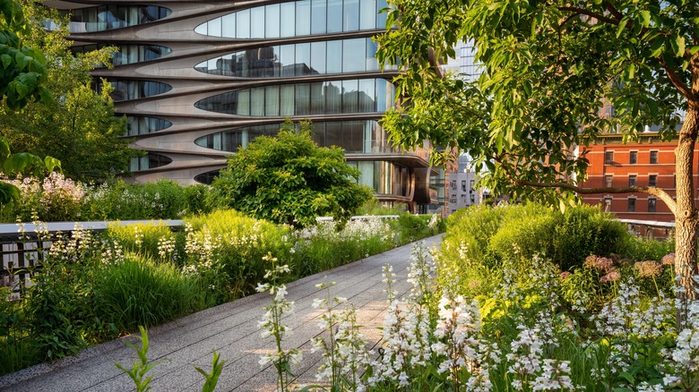 The High Line