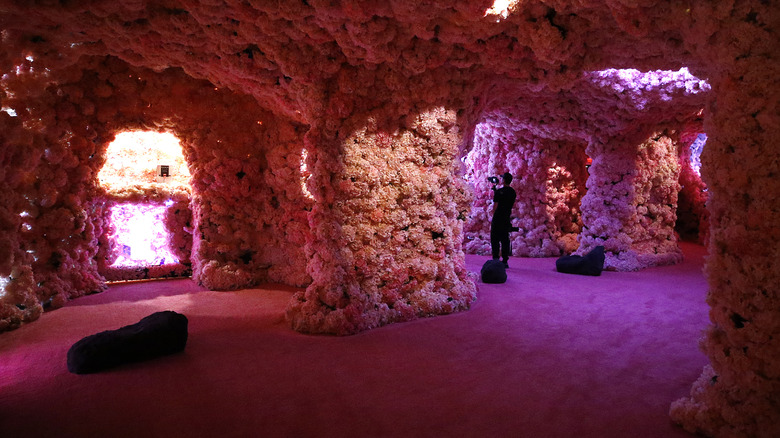 A large room covered in pink hydrangeas on display at Mercer Labs in New York City.