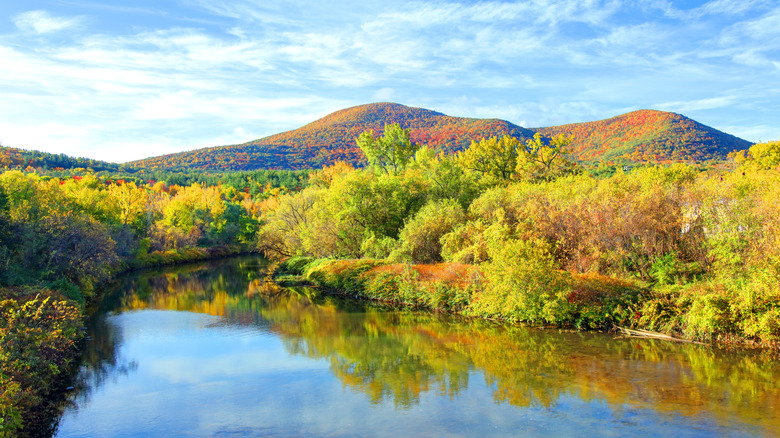 Colorful fall foliage along a river in The Berkshires, Massachusetts