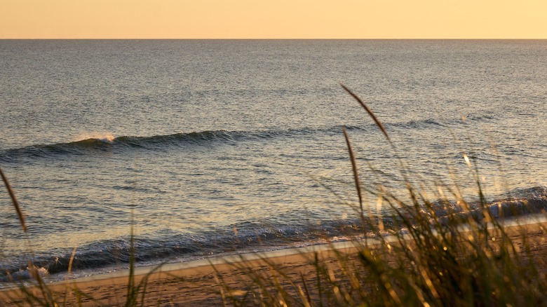 View of Sunset Beach in Montauk, New York