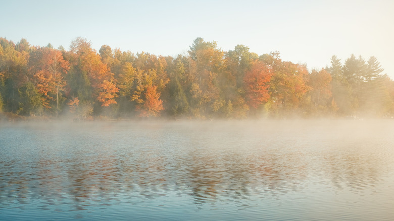 Fog on an autumn morning at Cranberry Lake in the Adirondack Mountains