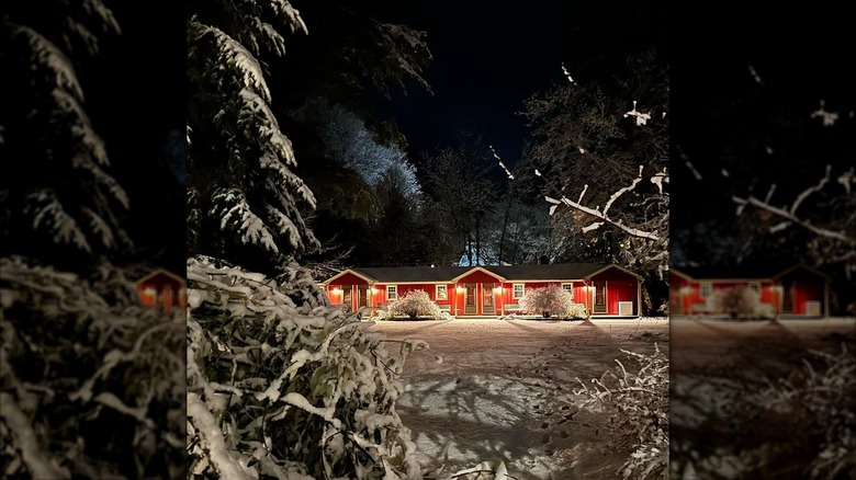 Nighttime view of a cabin at the Phoenicia Lodge
