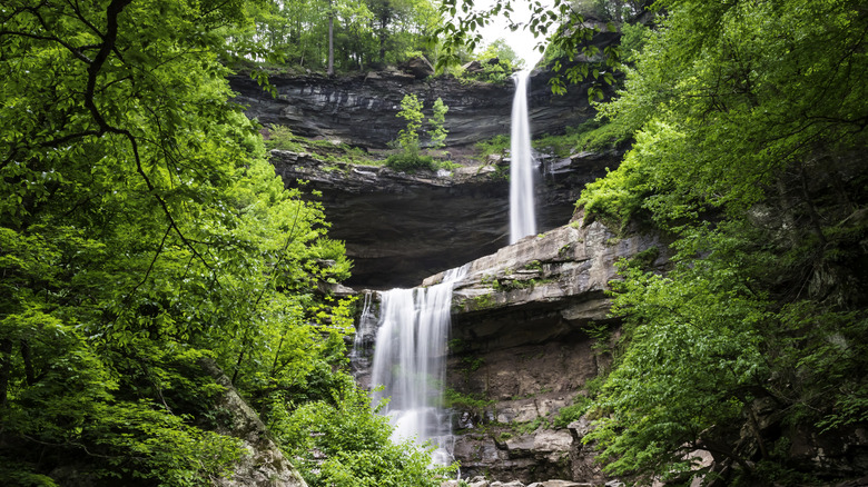 Two-Tier Kaaterskill Falls surrounded by green trees in the Kaaterskill Wild Forest, Catskills, NY