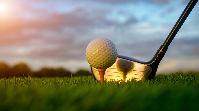 A golf clu and a ball on a green lawn