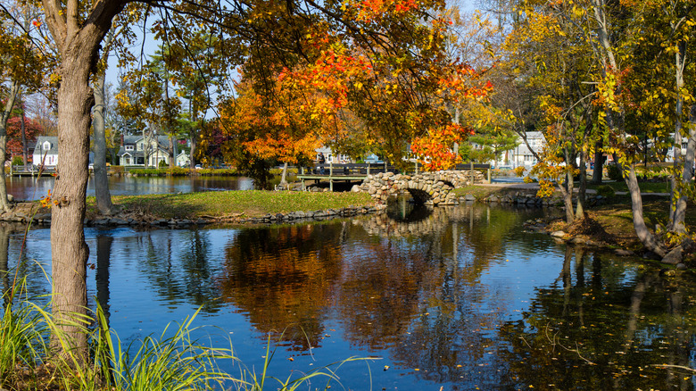 Heckscher Park fall color