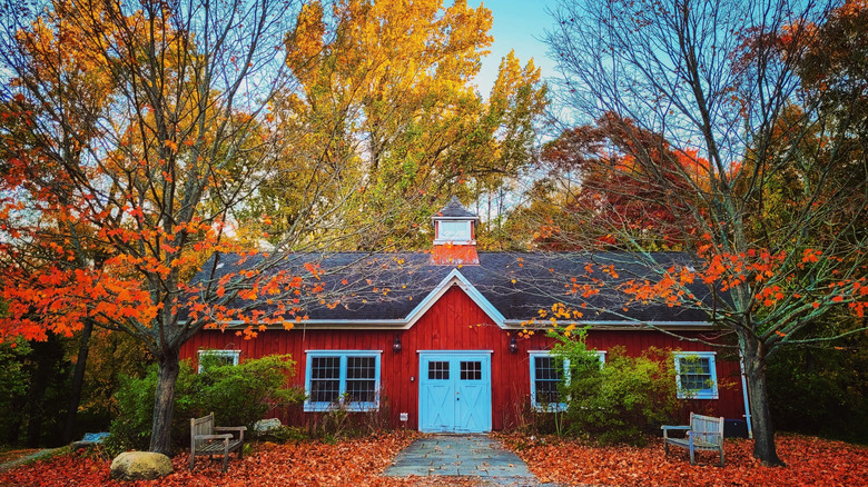 fall trees behind a redbcountry house
