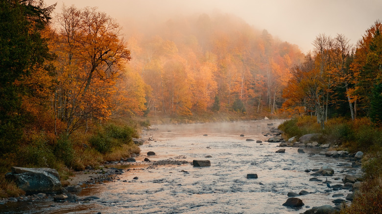 Autumn color along the West Branch Ausable River in the Adirondack Mountains in Wilmington, New York