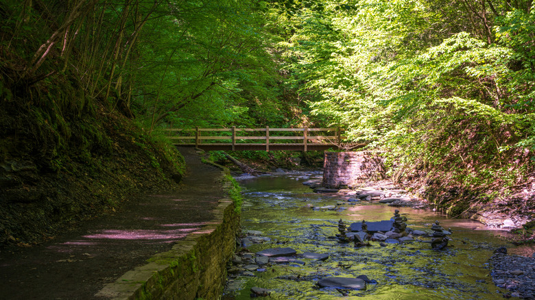 Bridge at Fillmore Glen State Park in Moravia, NY