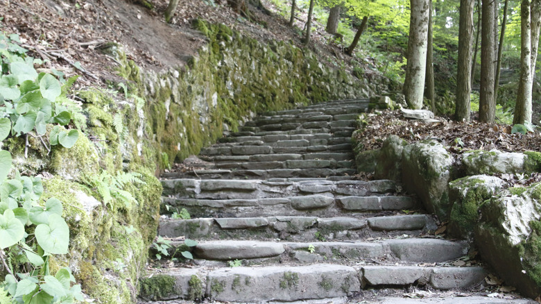 Stone stairs at Fillmore Glen State Park