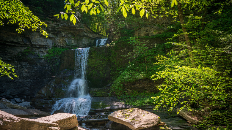 Waterfall at Fillmore Glen State Park in Moravia, NY