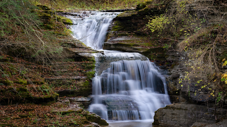 Waterfall in Robert H Treman State Park