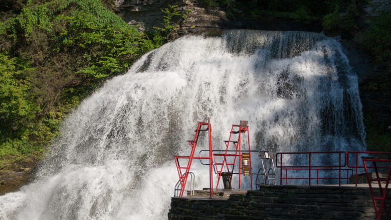 Lower Falls in Robert H. Treman State Park