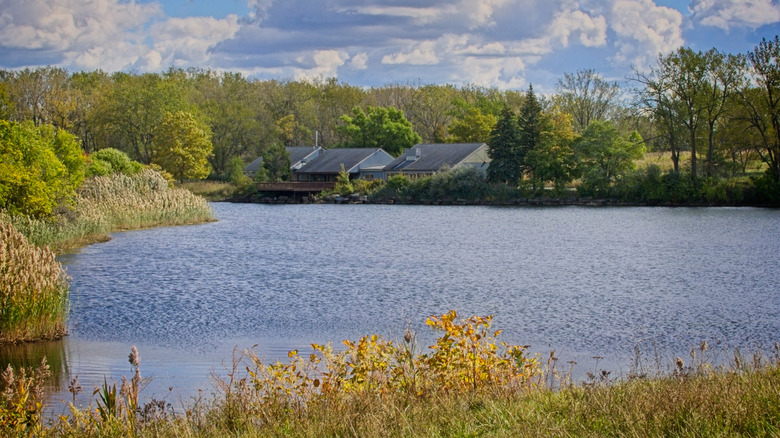 The roofs of the Tifft Nature Preserve are visible at the edge of a pond in New York State