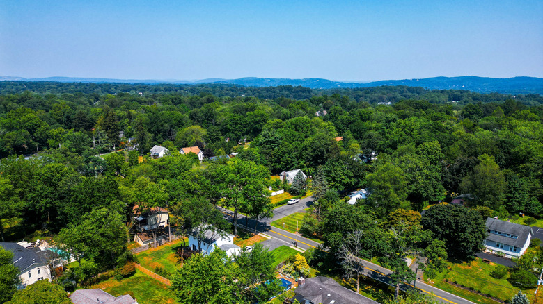 Pearl River, New York, teeming with trees and greenery