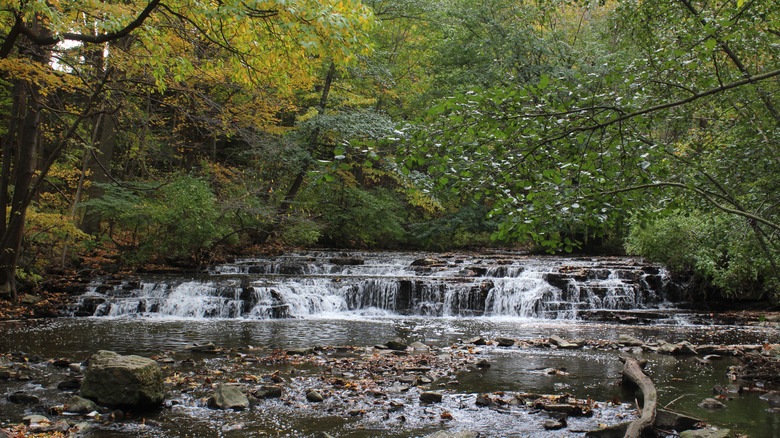 A waterfall near Brighton, NY