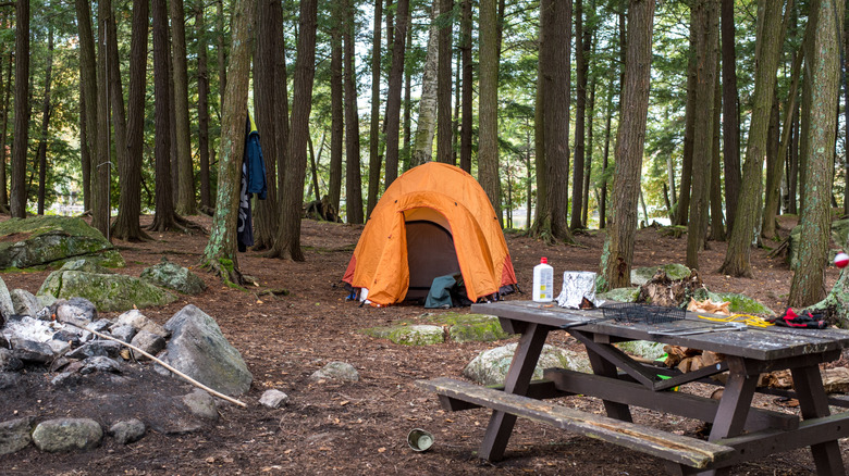 A campsite at Lake Saranac