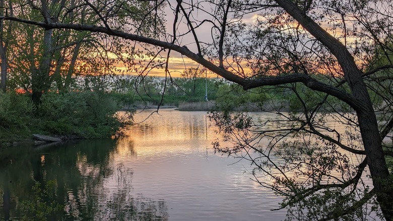 View of the water along the walking trail at Tifft Nature Preserve, just outside of Lackawanna, New York.