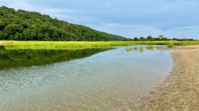 Forest and water in Sunken Meadow State Park