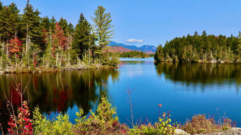 Boreas Ponds in the High Peaks Wilderness, New York