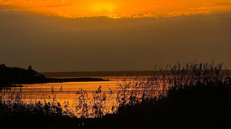 Fishers Island shore at sunset