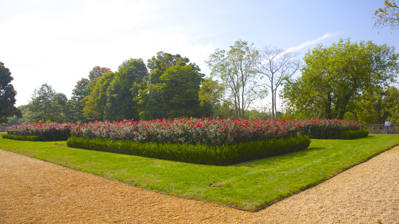 The Rose Garden at the Gould-Guggenheim Estate on Sands Point in Long Island, New York.