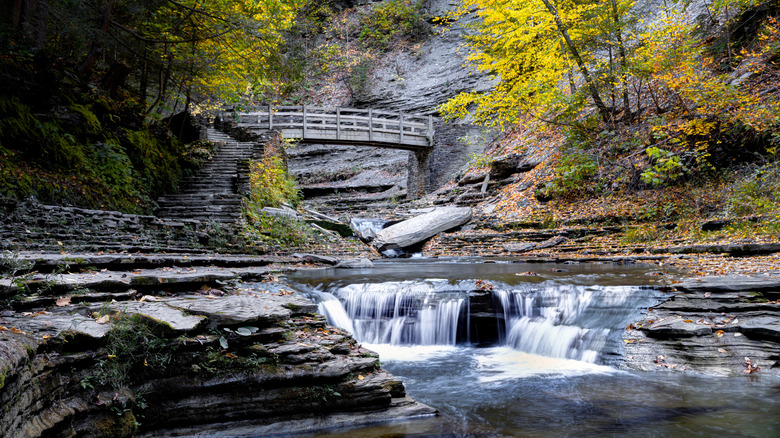 Small bridge over a waterfall in Stony Brook State Park in New York.