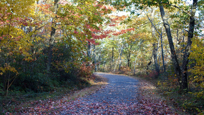 Carriage path at Minnewaska State Park Preserve in the fall