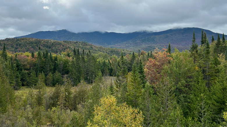 An aerial view of the abandoned village of Tahawus in the Adirondacks of New York